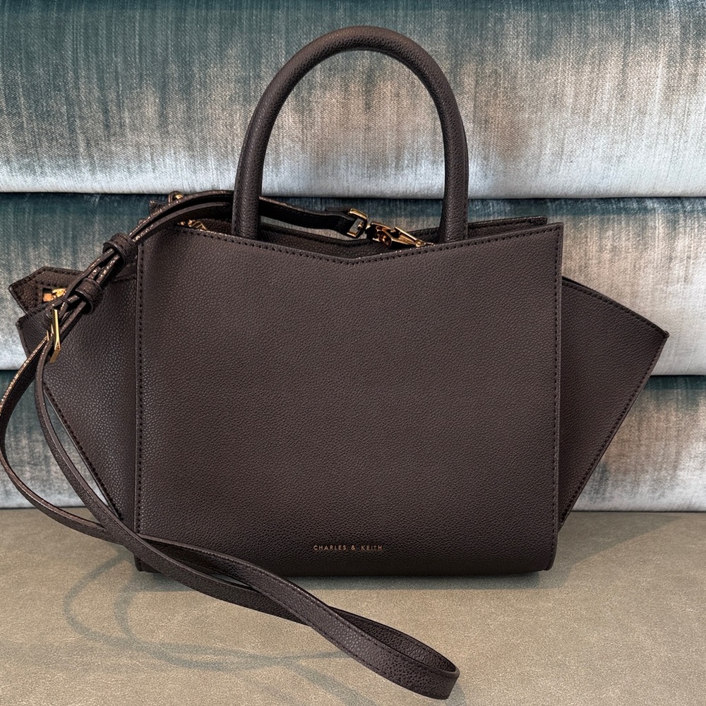 Charles & Keith Dark Brown Satchel